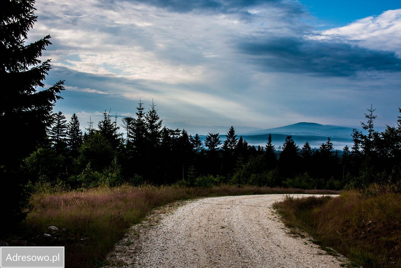 dom wolnostojący, 2 pokoje Gniewoszów. Zdjęcie 17