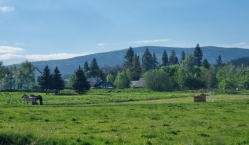 Działka inwestycyjna Karpniki