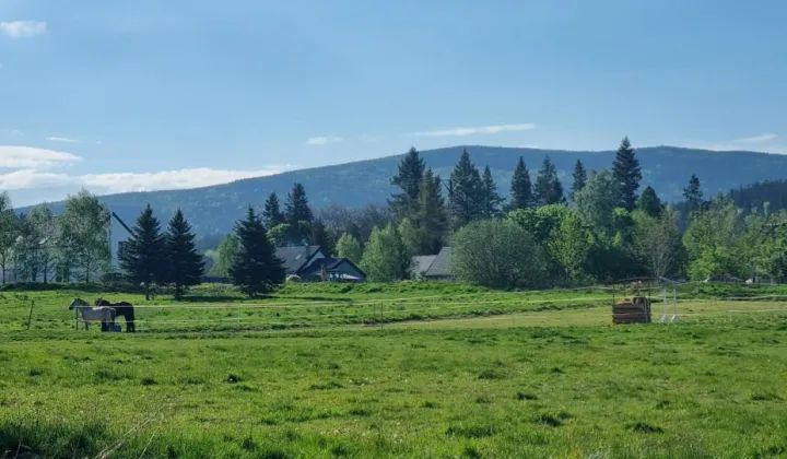 Działka inwestycyjna Karpniki