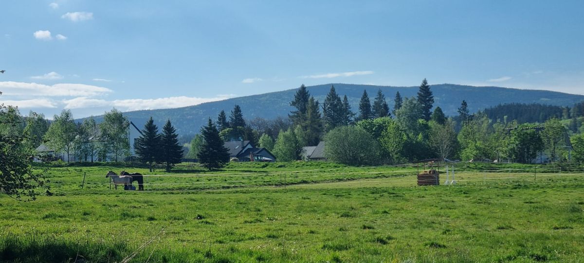 Działka inwestycyjna Karpniki