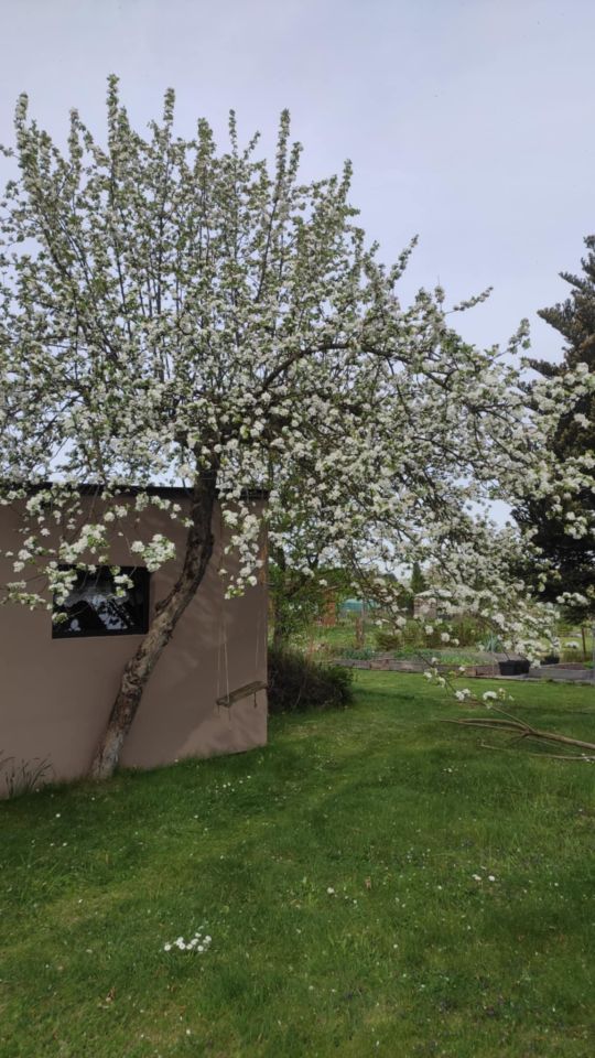 Działka rod Lubin. Zdjęcie 7