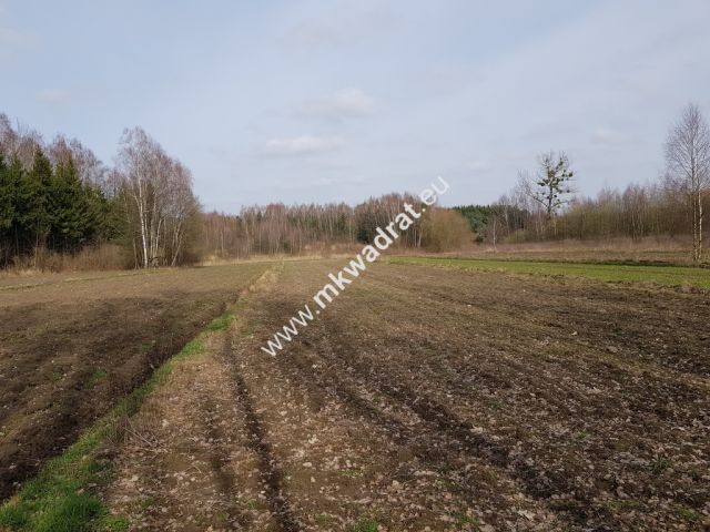 Działka rolna Borszyce. Zdjęcie 7