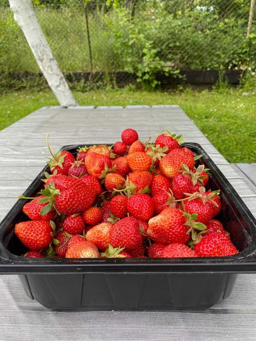 Działka rod Szczecin Skolwin. Zdjęcie 8