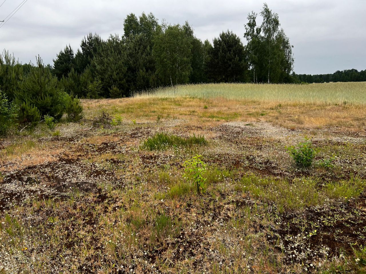 Działka budowlana Łąkie, Łąkie. Zdjęcie 16