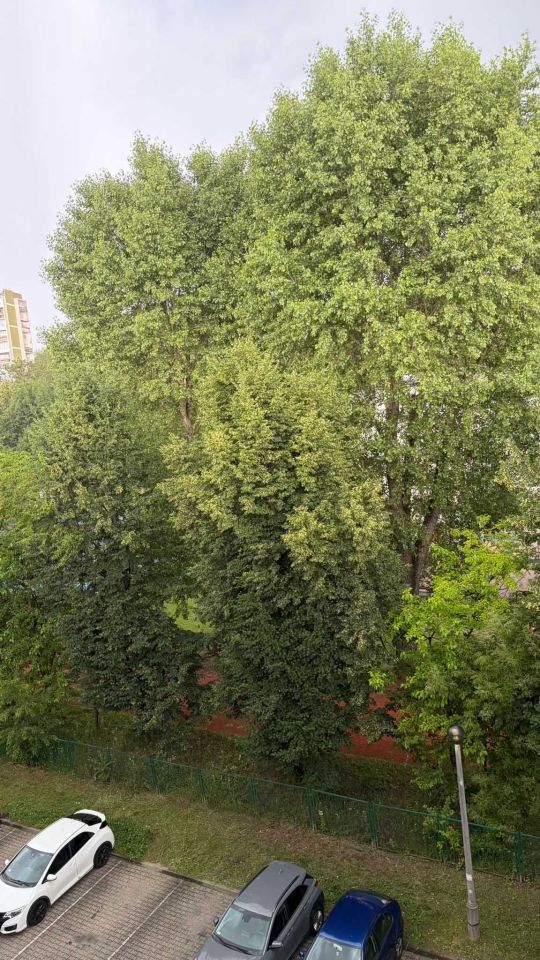 Mieszkanie 3-pokojowe Kraków Podgórze, os. Złotego Wieku. Zdjęcie 6