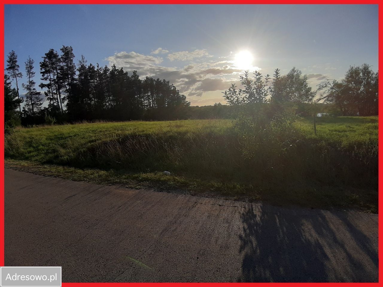 Działka rolna Łanowicze Duże. Zdjęcie 2