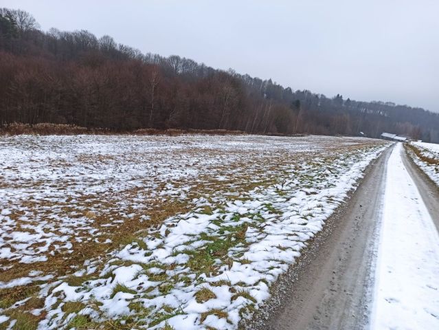 Działka budowlana Sieklówka. Zdjęcie 1