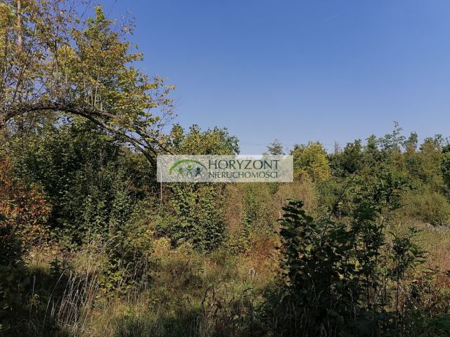 Działka Sulęczyno. Zdjęcie 5