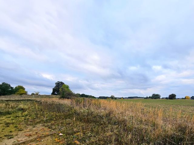 Działka budowlana Siekierowice. Zdjęcie 15