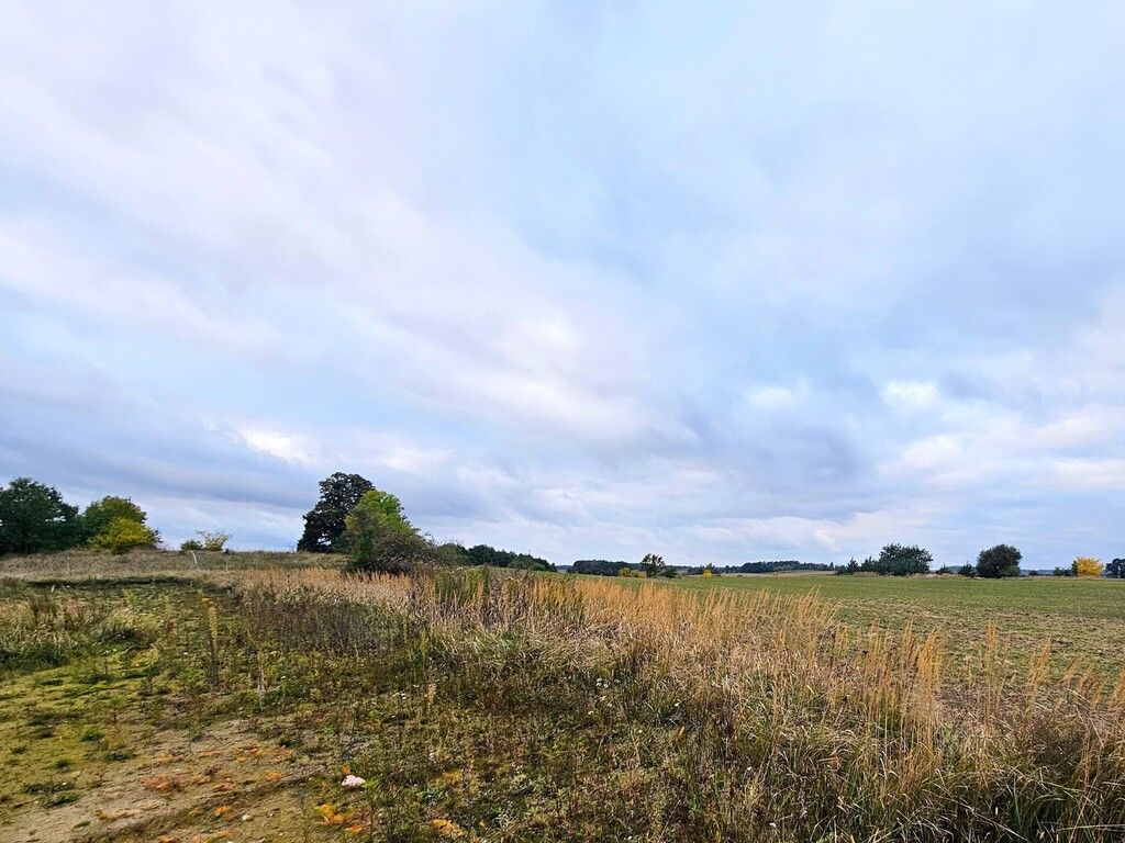 Działka budowlana Siekierowice. Zdjęcie 15