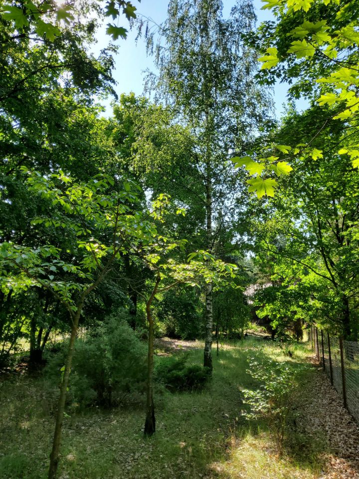 Działka budowlana Cieńsza. Zdjęcie 39