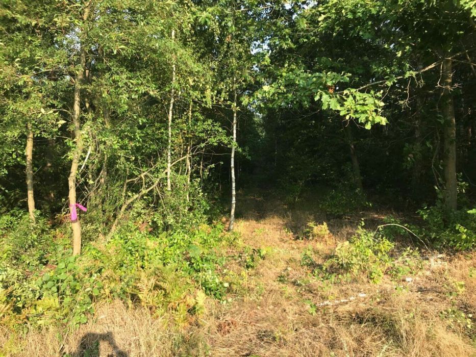 Działka budowlana Dobrogosty. Zdjęcie 2