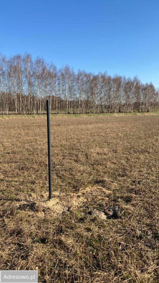 Działka Zalew. Zdjęcie 11