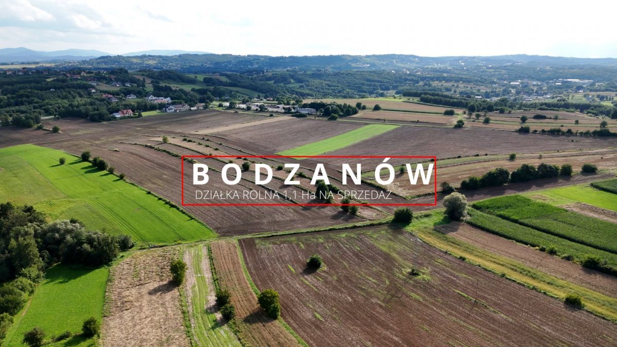 Działka rolna Bodzanów. Zdjęcie 5
