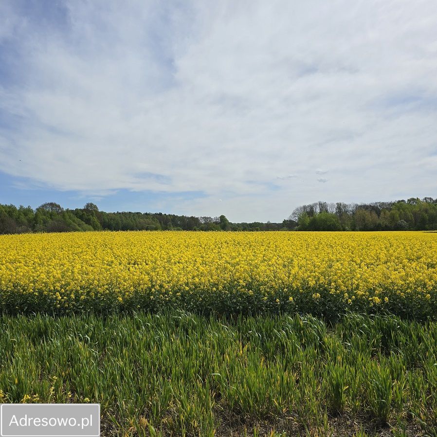 Działka budowlana Trójca. Zdjęcie 6