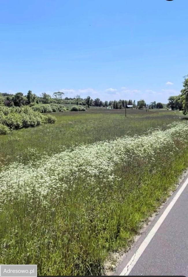 Działka budowlana Maszewko. Zdjęcie 6