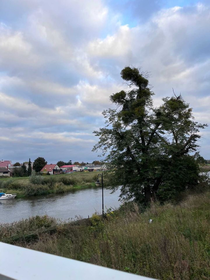Mieszkanie 1-pokojowe Śrem. Zdjęcie 5