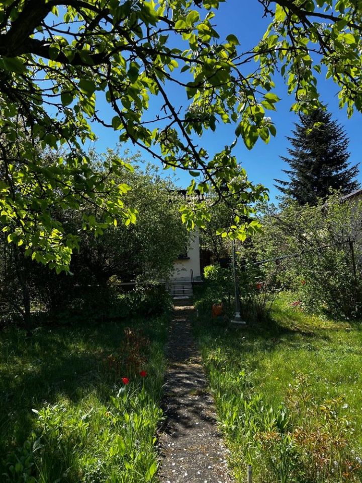 Działka rod Częstochowa Tysiąclecie. Zdjęcie 2