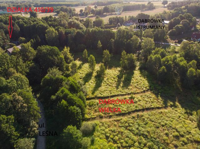 Działka budowlana Dąbrówka Wielka, ul. Leśna. Zdjęcie 3