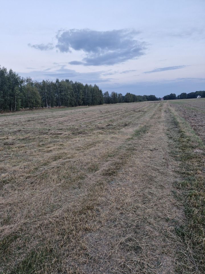 Działka rolno-budowlana Brzozówka, ul. Promyka. Zdjęcie 4