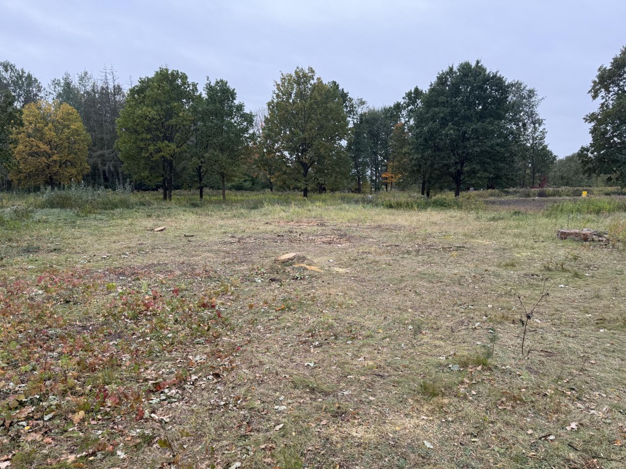 Działka budowlana Wiktorów, .. Zdjęcie 1