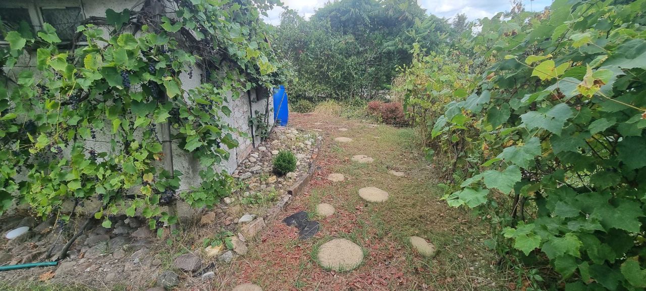 Działka rekreacyjna Opole. Zdjęcie 4