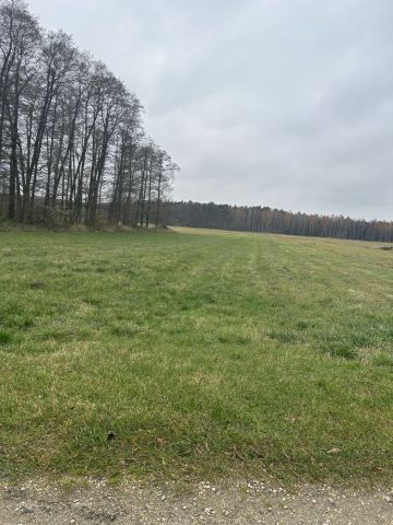 Działka rolno-budowlana Wrzeszczewice Nowe. Zdjęcie 1