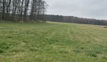 Działka rolno-budowlana Wrzeszczewice Nowe