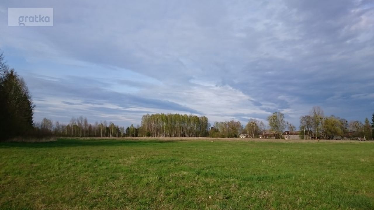 Działka rolna Rafałówka. Zdjęcie 3