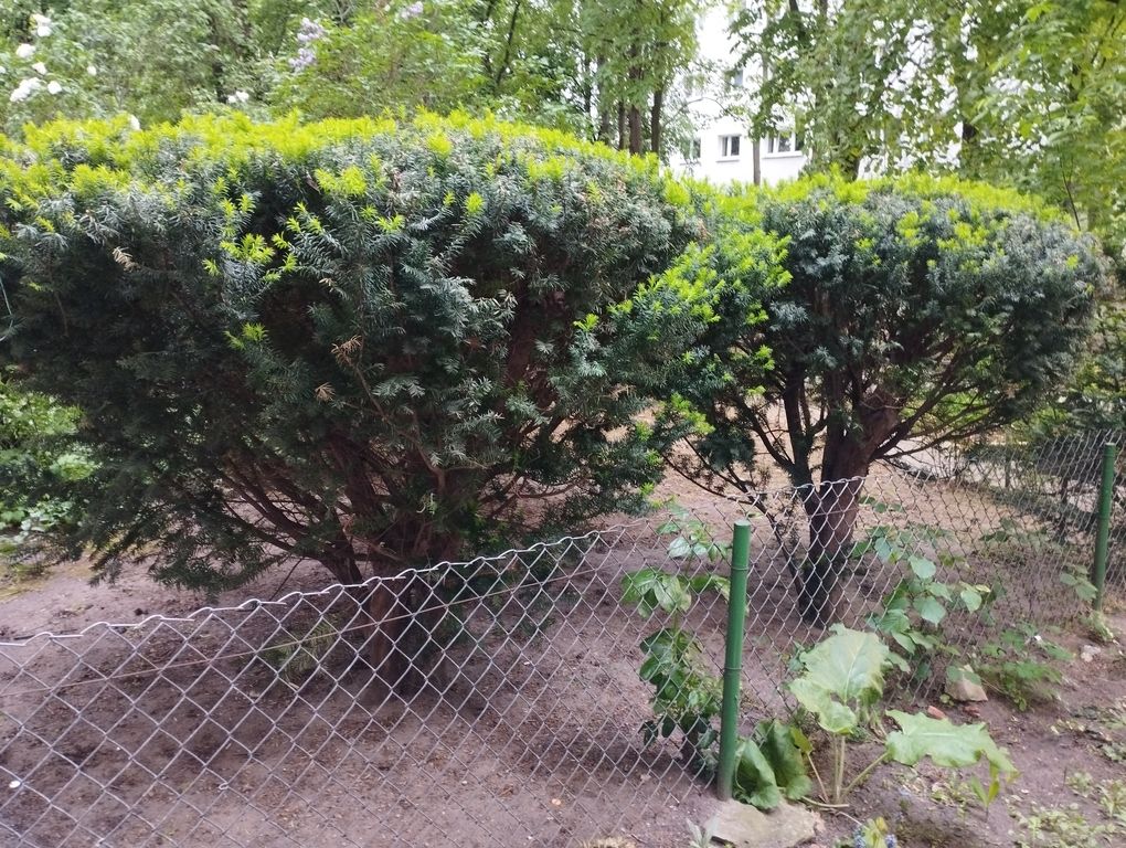 Mieszkanie 2-pokojowe Warszawa Żoliborz, ul. Władysława Broniewskiego. Zdjęcie 8