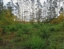 Działka budowlana Ostrów Mazowiecka, ul. Żwirowa. Zdjęcie 4