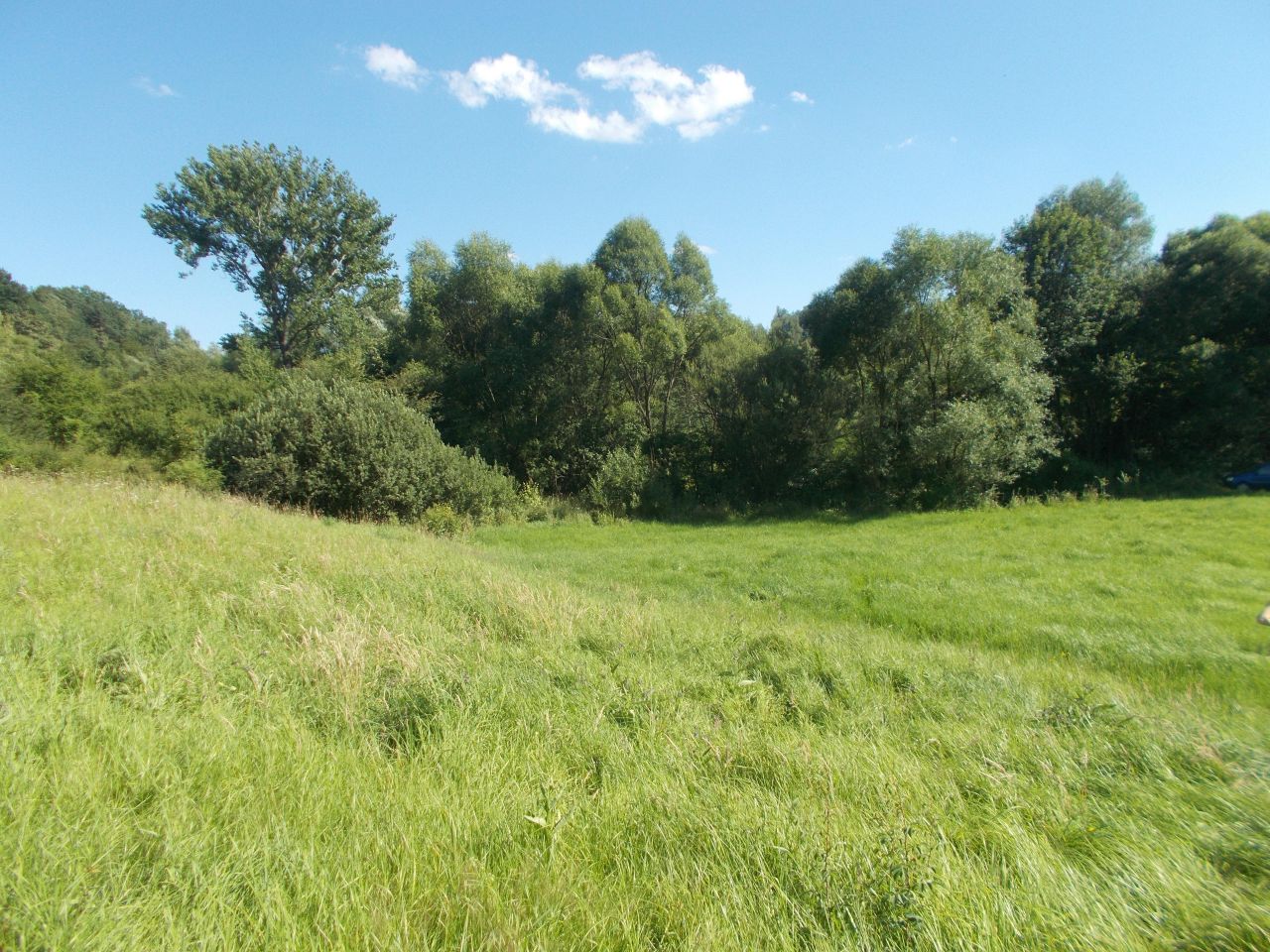 Działka rekreacyjna Wieprz. Zdjęcie 8