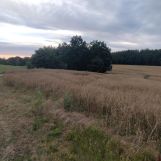 Działka rolna Czarlin, ul. Leśna. Zdjęcie 3