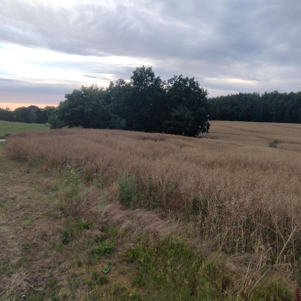 Działka rolna Czarlin, ul. Leśna. Zdjęcie 4