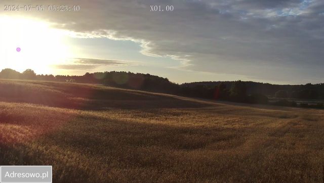 Działka budowlana Skoki, ul. Leśna. Zdjęcie 1