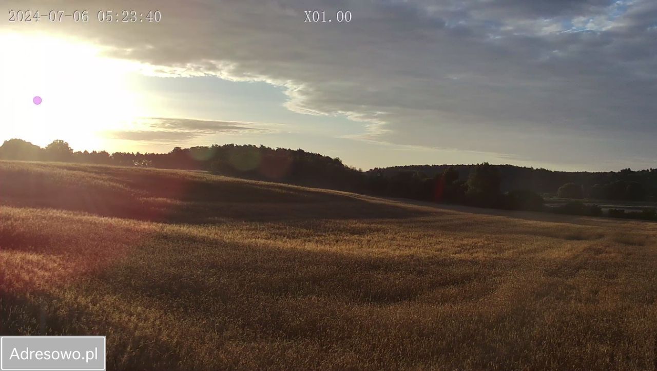 Działka budowlana Skoki, ul. Leśna