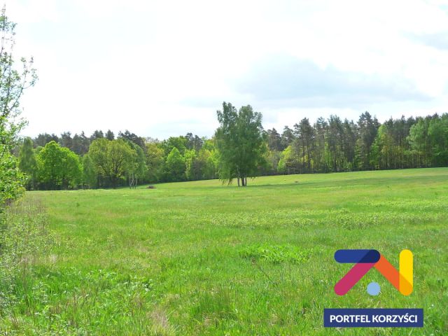 dom wolnostojący, 2 pokoje Lubsko. Zdjęcie 12