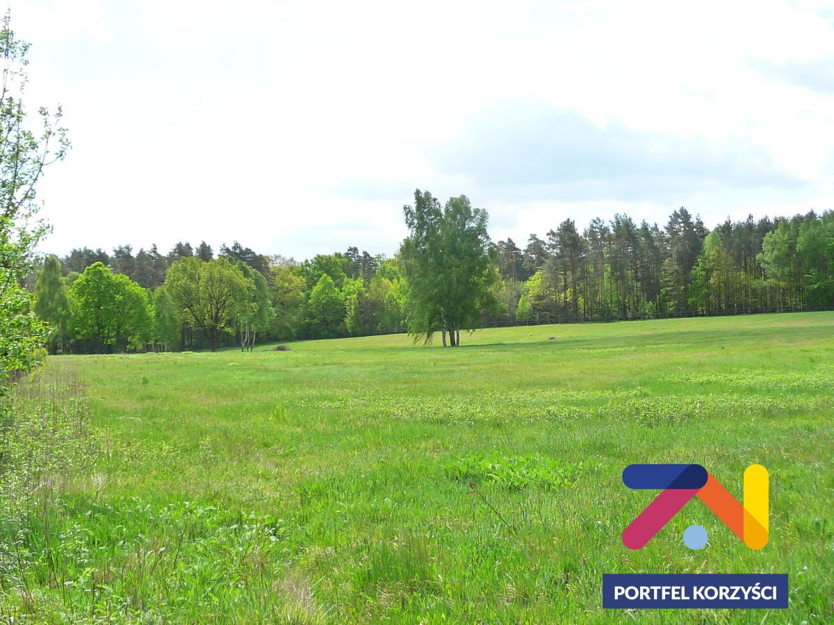 dom wolnostojący, 2 pokoje Lubsko. Zdjęcie 12