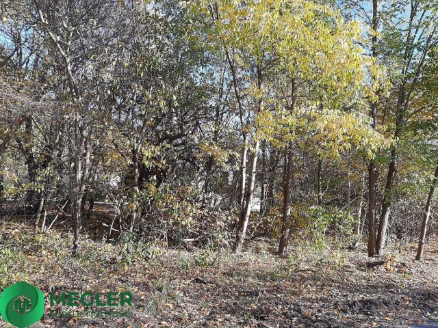 Działka budowlana Żółwin. Zdjęcie 2