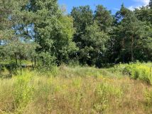 Działka budowlana Gronówko, os. Leśna Podkowa. Zdjęcie 4