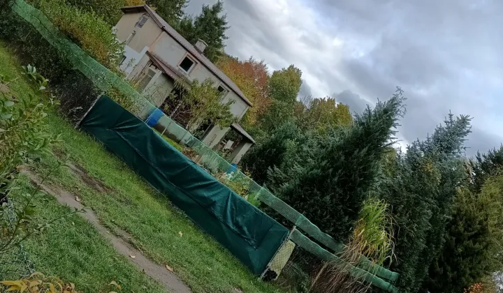 Działka rod Wrocław Wojnów, Działkowa