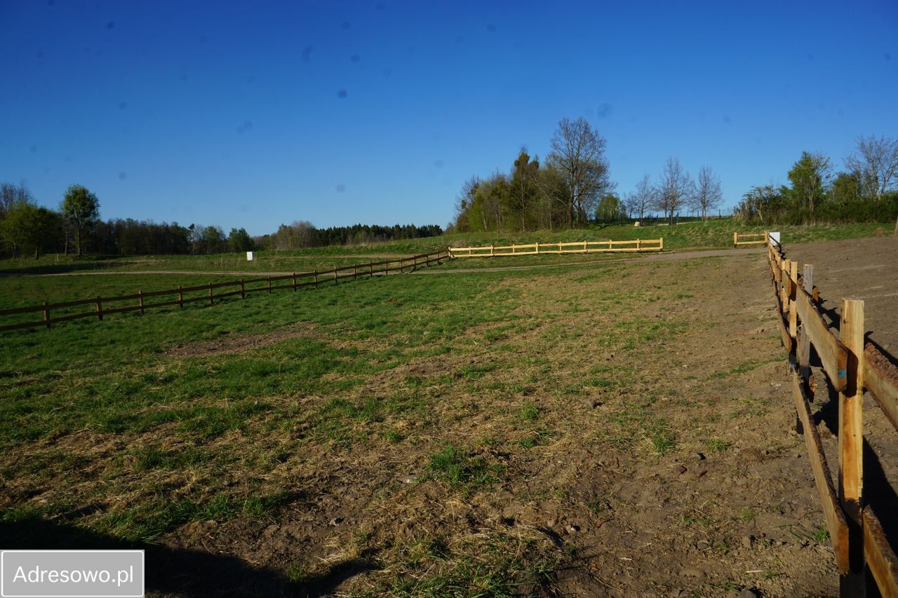 Działka budowlana Zalewo. Zdjęcie 8
