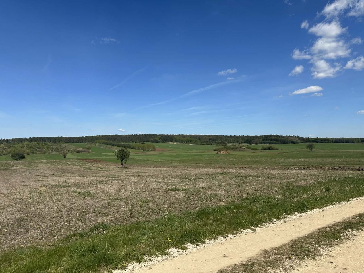 Działka budowlana Radomice Zagórze, ul. Dąbrówka. Zdjęcie 4