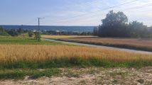 Działka rolno-budowlana Wzdół-Kolonia. Zdjęcie 2