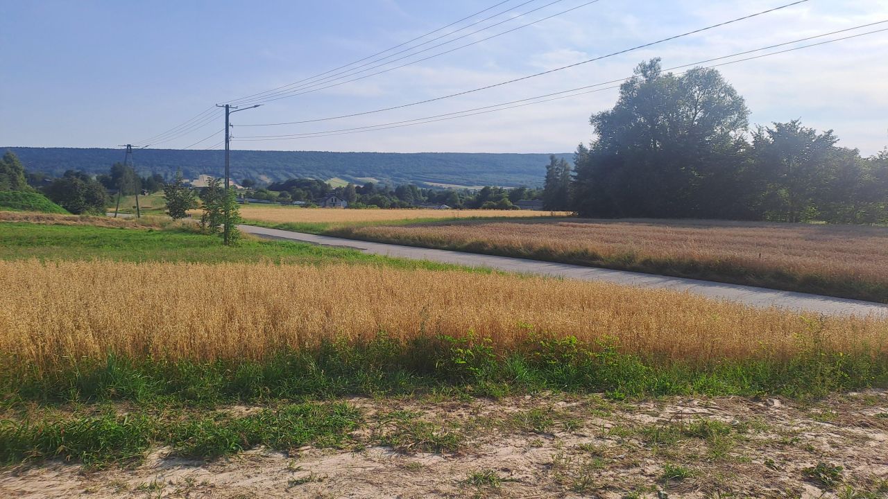 Działka rolno-budowlana Wzdół-Kolonia. Zdjęcie 3