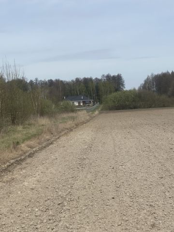 Działka rolna Wola Stryjewska. Zdjęcie 1