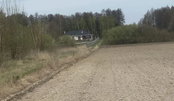 Działka rolna Wola Stryjewska