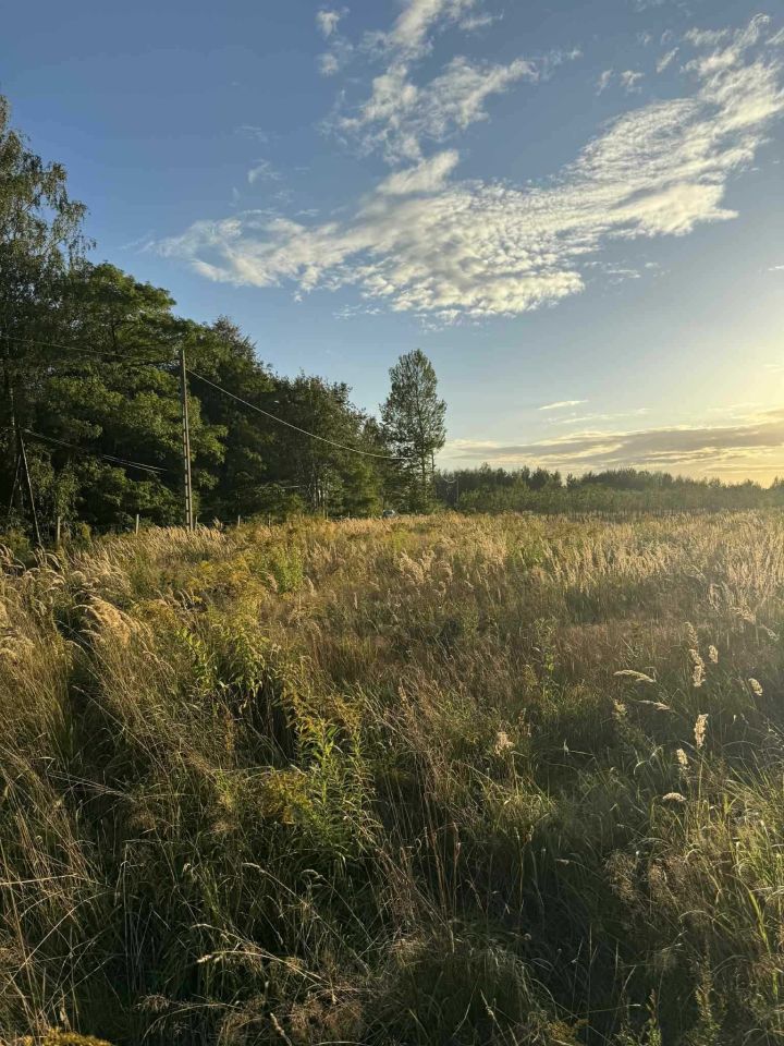 Działka budowlana Czekaj. Zdjęcie 2