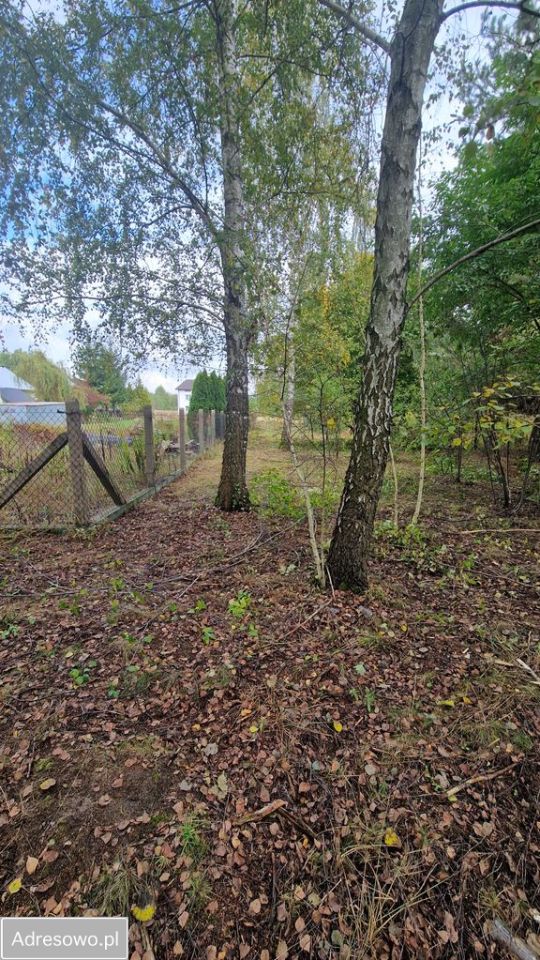 Działka budowlana Jaktorów-Kolonia, ul. Nowowiejskiego. Zdjęcie 6