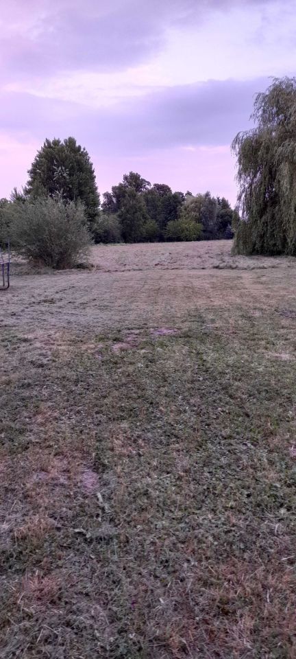 Działka inwestycyjna Falenty Nowe. Zdjęcie 4